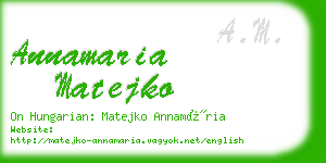 annamaria matejko business card